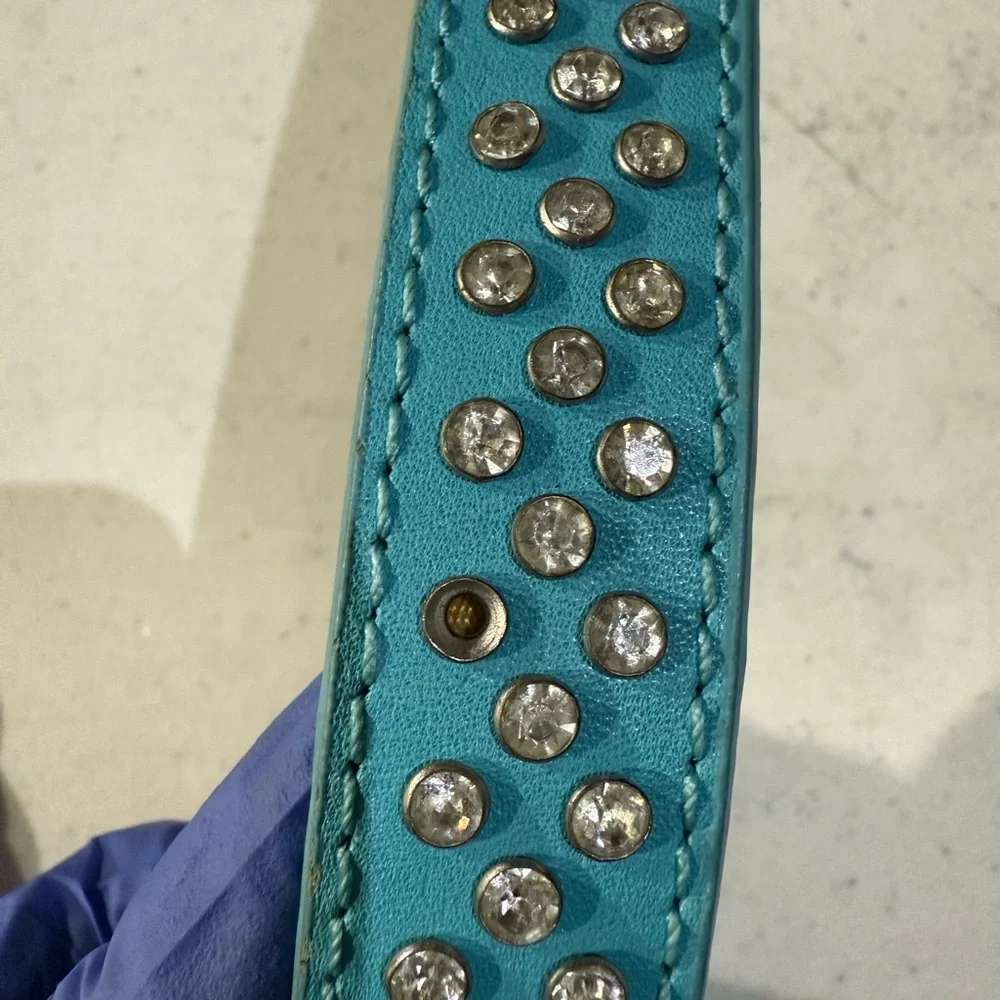 Teal Leather Dog Leash with Rhinestone Accents